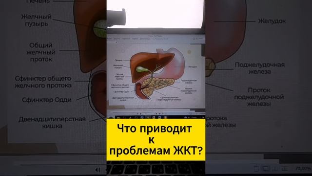 🔥Что приводит к проблемам желудочно-кишечного тракт?