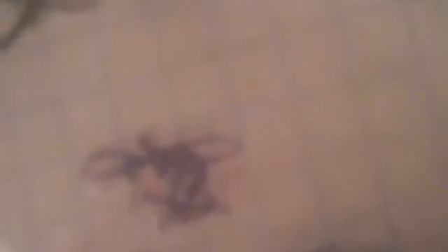  Короче говоря нарисовала  ХАОС ЛАЙТ