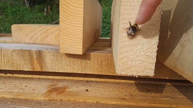 Лаги Пола и Временный Пол  Строю Мини Дом Tiny House