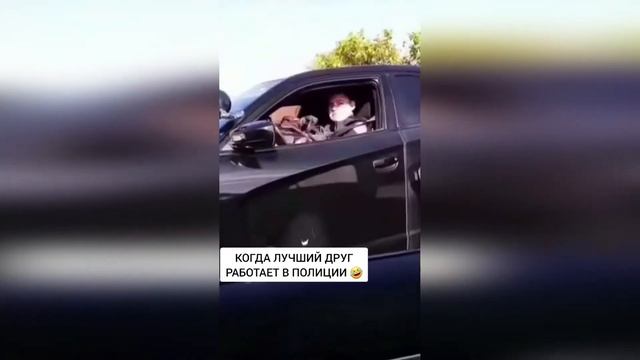 10 МИНУТ СМЕХА / ЗАСМЕЯЛСЯ - ПОДПИСАЛСЯ / ЛУЧШИЕ ПРИКОЛЫ ИЮНЬ 2021 / ТЕСТ НА ПСИХИКУ!!! #17