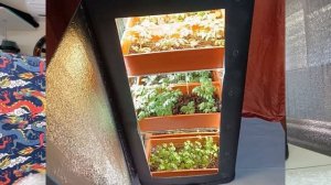 Гроутент для микрозелени и рассады. Сравнение гроутуба с Garden Highpro