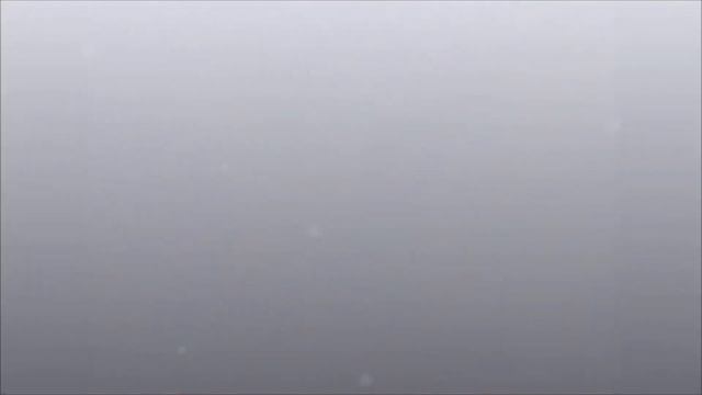 Птицы смотреть онлайн