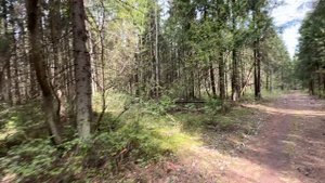 Тропа здоровья DenBan4