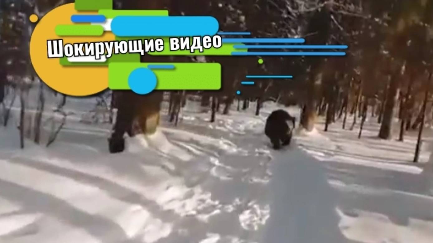 Шокирующие видео