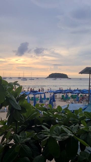 29 февраля 2024 г. пока нога в гипсе)) смотреть онлайн