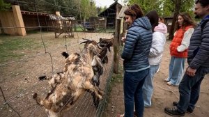 Парк животных, Барановичи