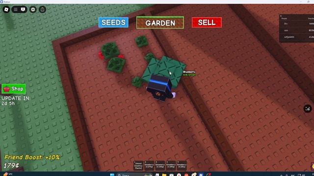 играю в роблокс в режим вырости сад