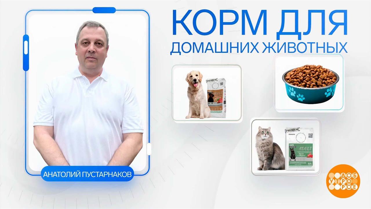 Семейный бизнес: дело найдется всем! Даже собакам... Доброе утро. Фрагмент выпуска от 15.05.2025