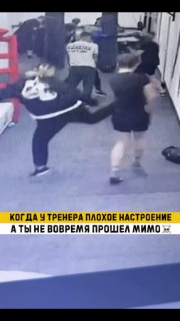 Боксер всегда должен быть в фокусе ‼️