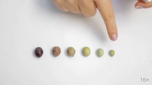 Стоимость оливкового масла.  От чего она зависит? | 16+