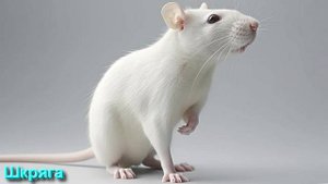 Ответы на Вопросы по Эзотерике от 15.05.25