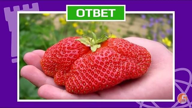 РЕАКЦИЯ НА ВИДЕО ПРАВДА ИЛИ ЛОЖЬ смотреть онлайн