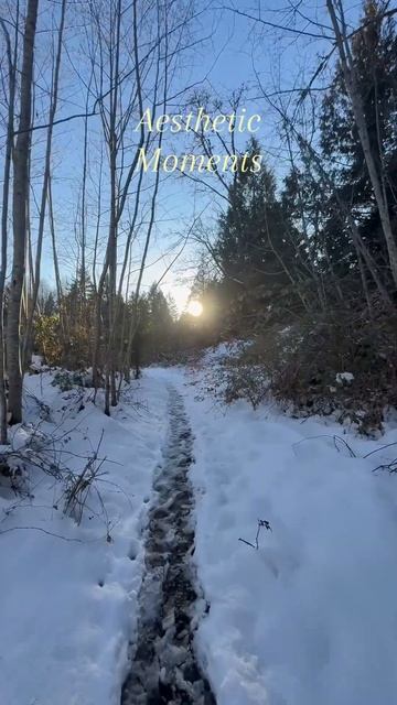 Aesthetic Winter Moments – Frozen Serenity in Nature #Зима, #Природа, #WinterVibes, #F смотреть онлайн