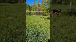 Лилит и бабочка