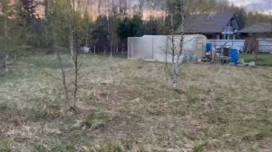 Видео обзор участка в СНТ Симагинские Просторы