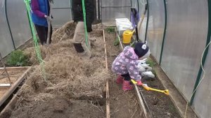 ЖИЗНЬ В ДЕРЕВНЕ - Эксперименты с яблоней, посылка с южными саженцами, и другие рассадно огородные