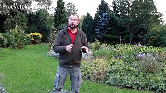 КАК ИЗБАВИТЬСЯ ОТ СЛИЗНЕЙ БЕЗ ХИМИИ Посадите ЭТИ растения в огороде!