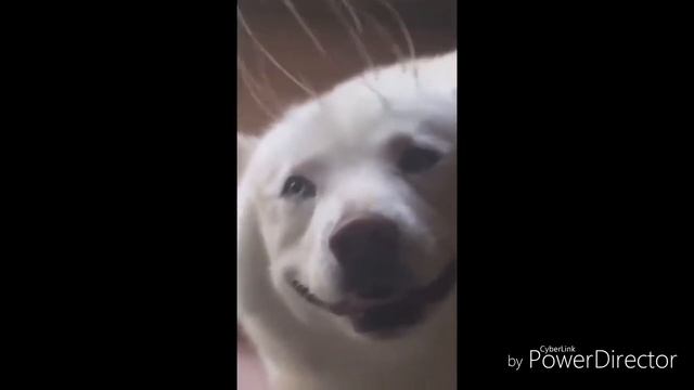 приколы за неделю#2 2018/ERO ONE смотреть онлайн