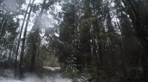 Пробираюсь сквозь лес на фэтбайке! / Velosvet: My adventures on two wheels