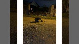 Взорвали подушку безопасности от приоры 😨😂