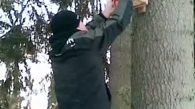 скворечника прикольчик смотреть онлайн