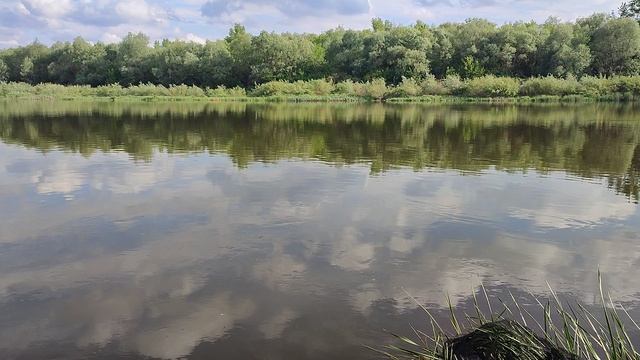 вечерняя зорька на рыбалке