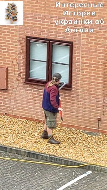 МОЙКА ОКОН В АНГЛИИ БЕСПЛАТНО ? #интересныеистории #ан? смотреть онлайн