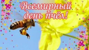 20 мая МЕЖДУНАРОДНЫЙ ДЕНЬ ПЧЁЛ