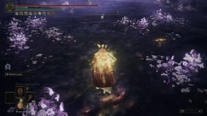 Гниющий рыцарь [199] Shadow of the Erdtree