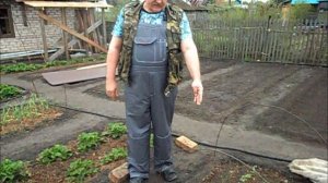 Безрассадные помидоры на 16 мая