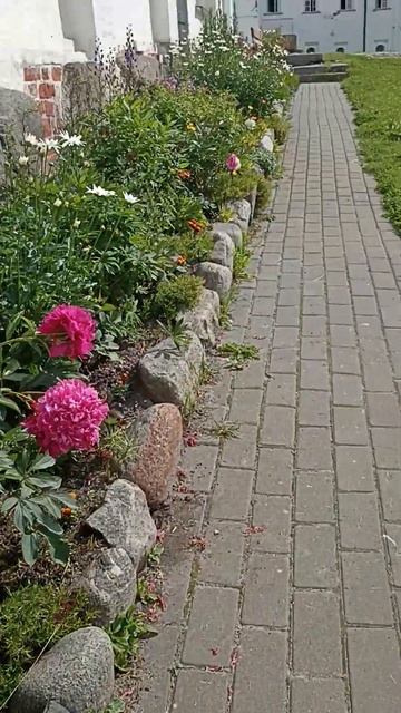 Уже идут мои ноги. Соловки. Пионы и монахи. смотреть онлайн