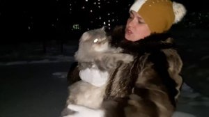 Как мы выгуливаем шубы. 😂