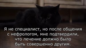 Смертельная ошибка ветеринара! Кот умер за сутки.  Что