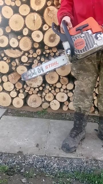 STIHL MS250 #stihlms250 #stihl250 #youtubeshorts #Село_та_STIHL смотреть онлайн