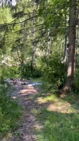 12.Возвращение домой#nature #mountains #река #fishing #сплавпореке #енисей #travel
