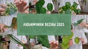ЛЮБИМЫЕ РАСТЕНИЯ весны 2025