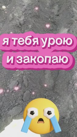 Огородные дела