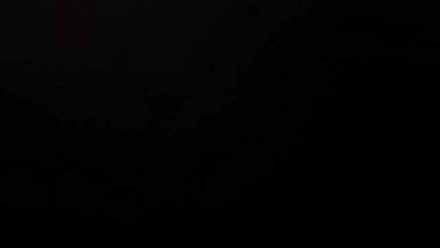 Медведь и алкаши не лезь дебил она тебя сожрет смотреть онлайн