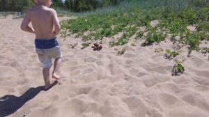 МАШИНА НА ПУЛЬТЕ ПРОХОДИТ ИСПЫТАНИЯ. БУКСУЕТ В ПЕСКЕ.