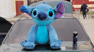 обзор кейса для экшин камеры