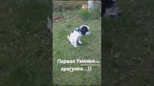 Первая прогулка...)))