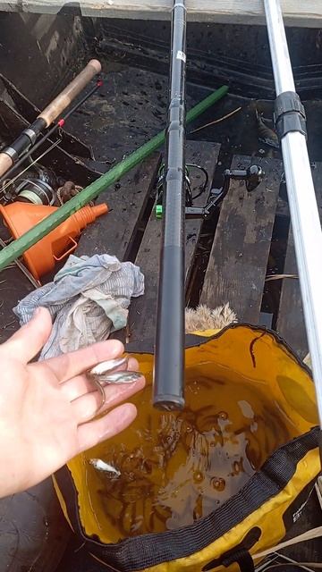 РЫБАЛКА НА МАЛЬКА НА ОКУНЯ смотреть онлайн