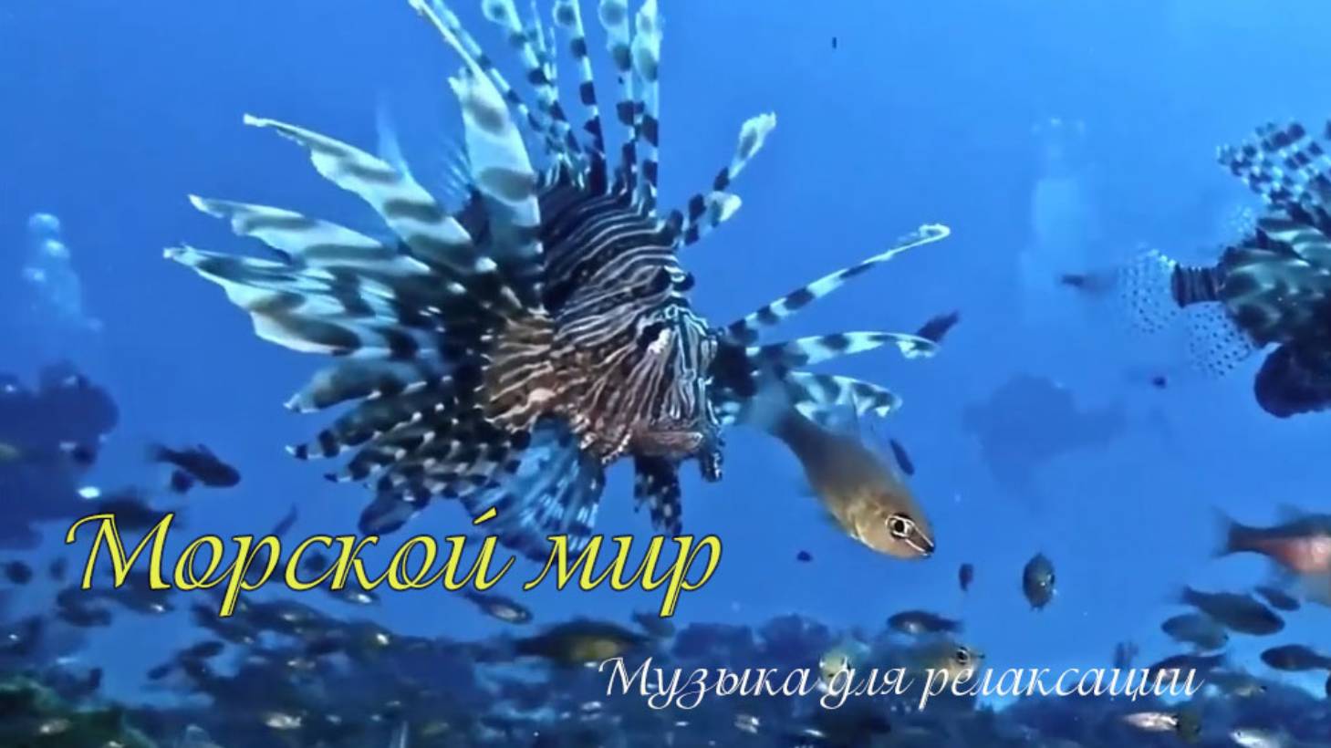 МОРСКОЙ МИР