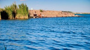 Новый закон об аквакультуре рассмотрели в Казахстане