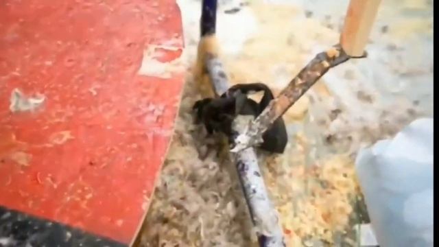А4/ Смешные моменты/ Гроб челленж
