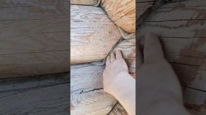 Как отличить качественный сруб от некачественного?