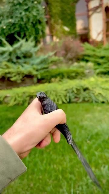 Нож Ворон Авторская работа Цена 30 500 смотреть онлайн