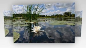 'Отражение'