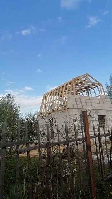 номер телефона смотреть онлайн