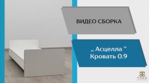 ТЭКС
Видео сборка. Спальня Асцелла. Кровать 0,9.
